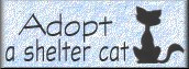 Adopt a shelter cat